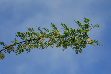 Similar image 6010258