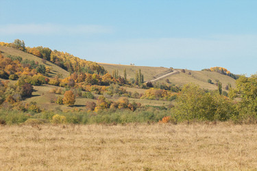 Similar image 6010260