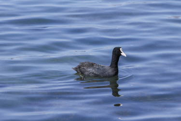 Similar image 6010360