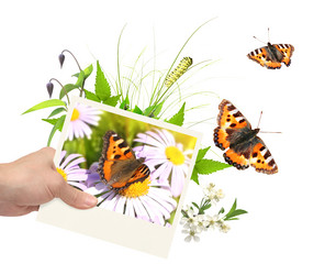 Similar image 6010503