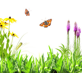 Similar image 6010506