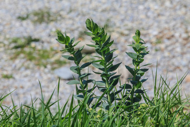 Similar image 6010711