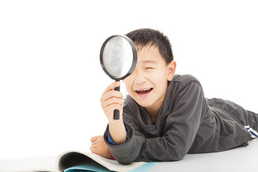 Similar image 6011001