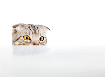 Similar image 6011226