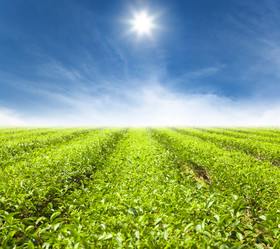 Similar image 6011406