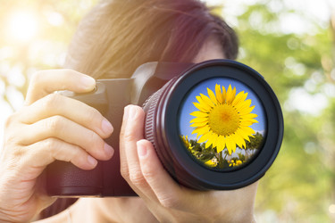 Similar image 6011409