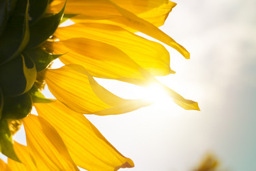 Similar image 6011411