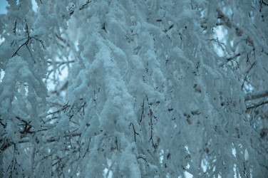 Similar image 6011474