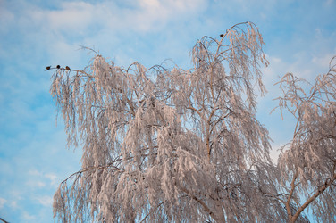 Similar image 6011475