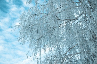 Similar image 6011476