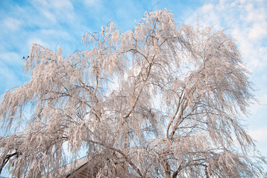 Similar image 6011477