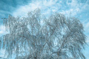 Similar image 6011478