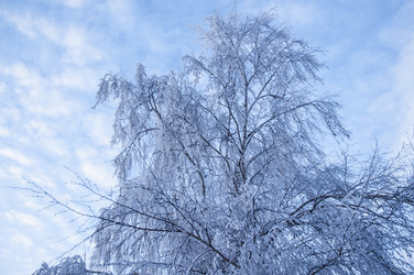 Similar image 6011479