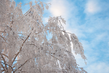 Similar image 6011481