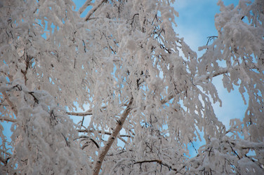 Similar image 6011483