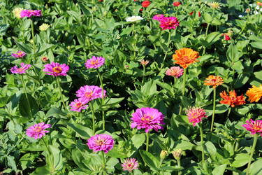 Similar image 6011625