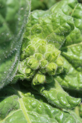 Similar image 6011626