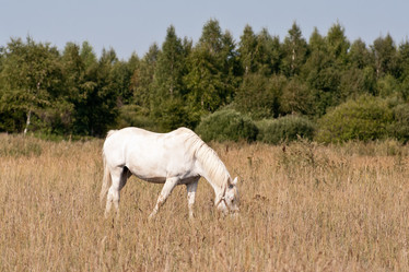 Similar image 6011631