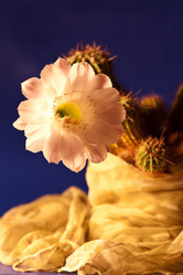 Similar image 6011632