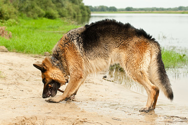 Similar image 6011633