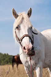 Similar image 6011639