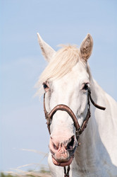 Similar image 6011640