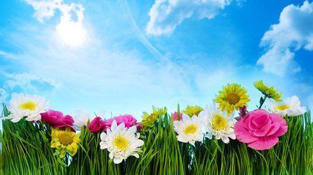 Similar image 6011650