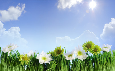 Similar image 6011651