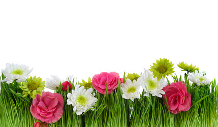 Similar image 6011652