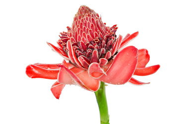 Similar image 6011674