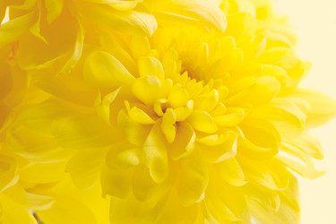 Similar image 6011709