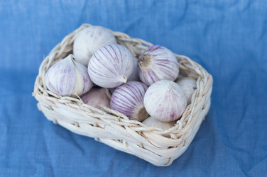 Similar image 6011723