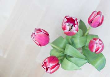 Similar image 6011725