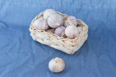 Similar image 6011728