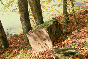 Similar image 6011769