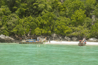 Similar image 6011819