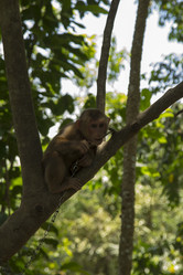 Similar image 6011828