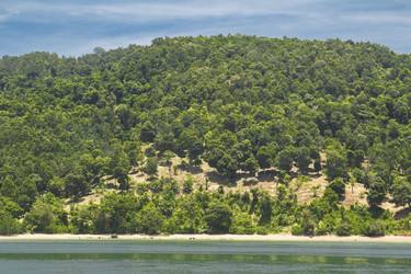 Similar image 6011832