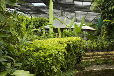 Similar image 6011838