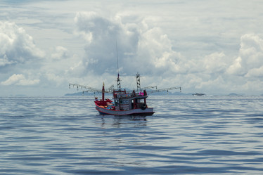 Similar image 6011841