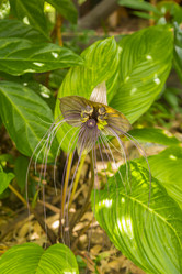 Similar image 6011842