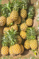 Similar image 6011843