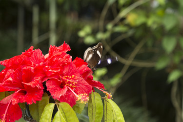 Similar image 6011844