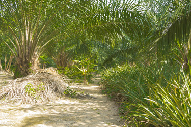 Similar image 6011849