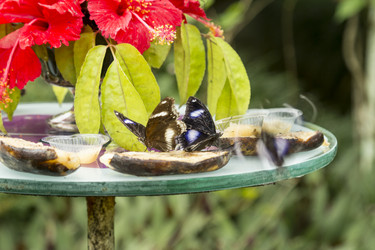 Similar image 6011868