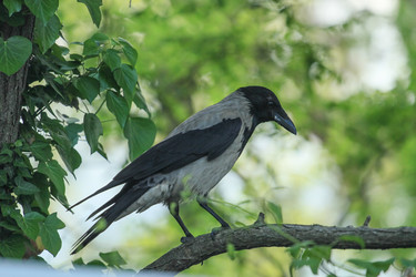 Similar image 6011889