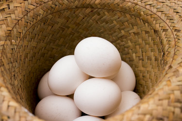 Similar image 6011900