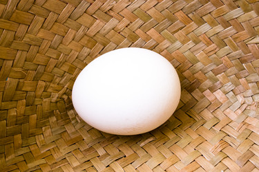 Similar image 6011902