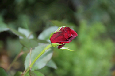 Similar image 6011906