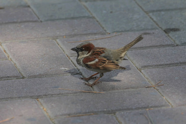 Similar image 6011950